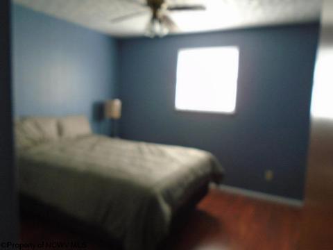 221 Holbert Ave, Fairmont, WV 26554 photo 4