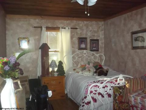 312 Centerville Rd, Rock Cave, WV 26234 photo 11