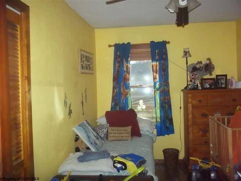 312 Centerville Rd, Rock Cave, WV 26234 photo 12