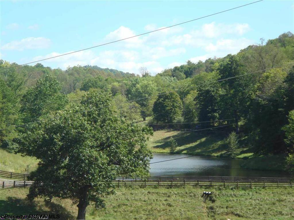 1523 Green Valley Rd, Bridgeport, WV 26330 photo 18