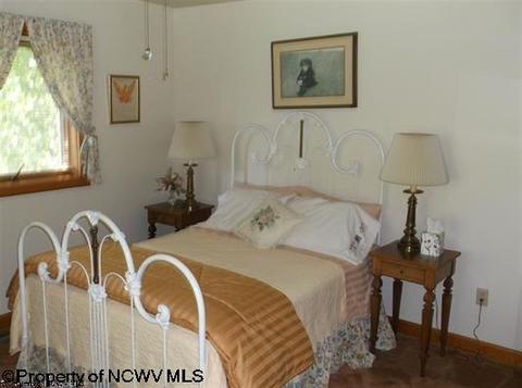 444 Graystone Ln, Sutton, WV 26601 photo 13