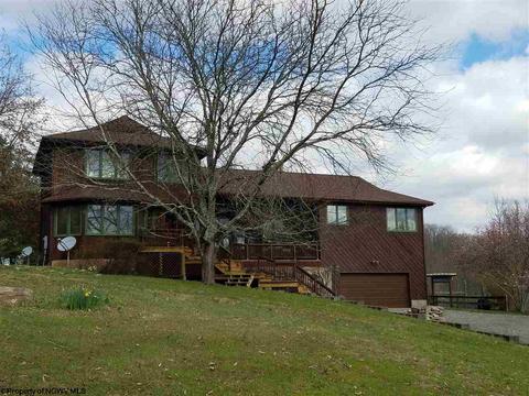 444 Graystone Ln, Sutton, WV 26601 photo 2