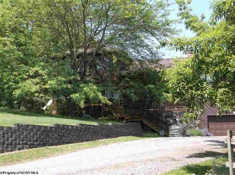 444 Graystone Ln, Sutton, WV 26601 photo 3