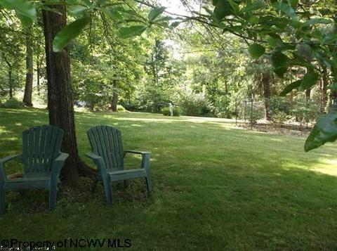 444 Graystone Ln, Sutton, WV 26601 photo 6