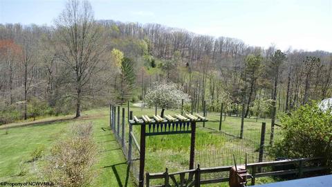 444 Graystone Ln, Sutton, WV 26601 photo 17