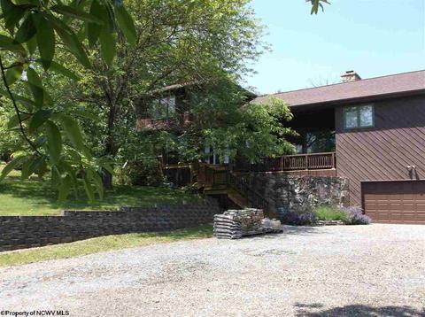 444 Graystone Ln, Sutton, WV 26601 photo 11
