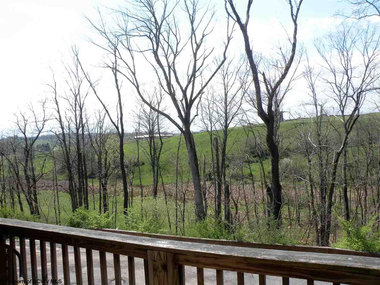 22 Hannah Ln, Morgantown, WV 26505 photo 10