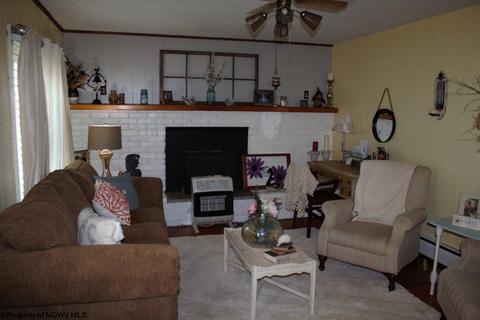 181 Old Birch River Rd, Cowen, WV 26206 photo 2