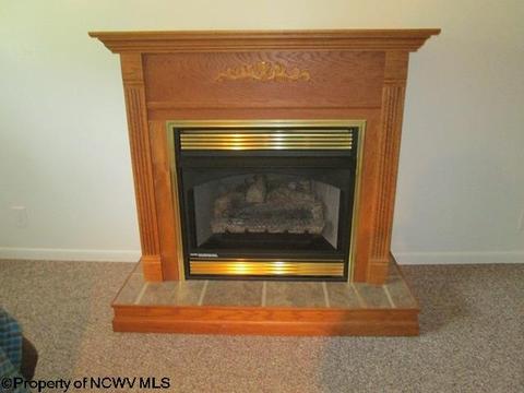 3 Panorama Way, Beverly, WV 26253 photo 14