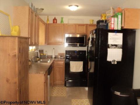 137 Eagle Dr, Maidsville, WV 26541 photo 2