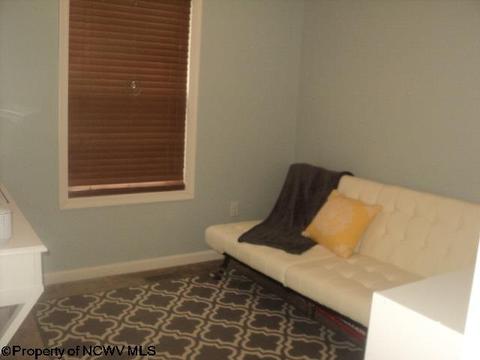 137 Eagle Dr, Maidsville, WV 26541 photo 9