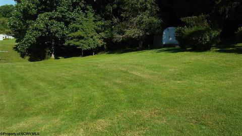 920 Dickson St, Mannington, WV 26582 photo 6