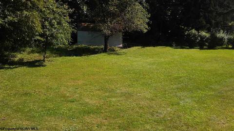 920 Dickson St, Mannington, WV 26582 photo 7