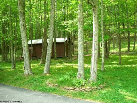 109 Brookside Ln, Philippi, WV 26416 photo 4