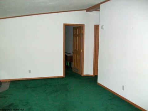 109 Brookside Ln, Philippi, WV 26416 photo 14