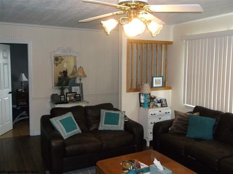 303 Dean Dr, Sutton, WV 26601 photo 6