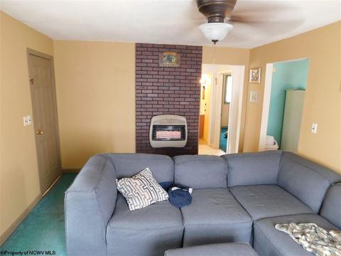 195 Fairview Ave, Sutton, WV 26601 photo 8