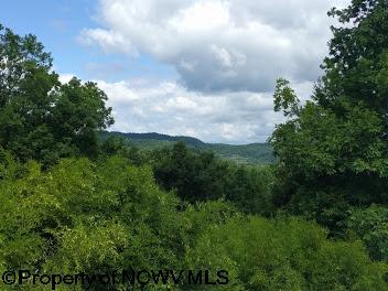 1172 Old Turnpike Rd, Sutton, WV 26601 photo 2