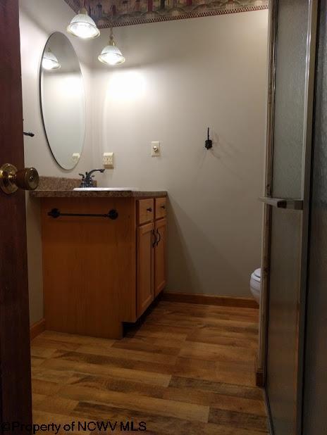 1172 Old Turnpike Rd, Sutton, WV 26601 photo 12