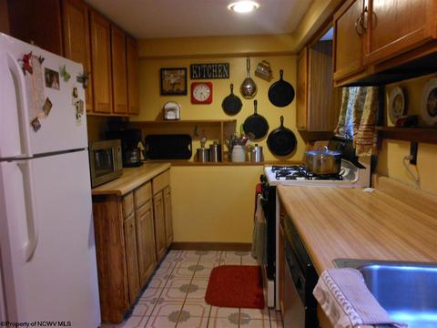 2218 Old Womans Run, Sutton, WV 26601 photo 4
