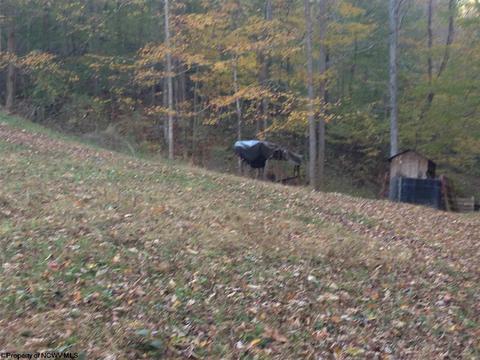 2218 Old Womans Run, Sutton, WV 26601 photo 15