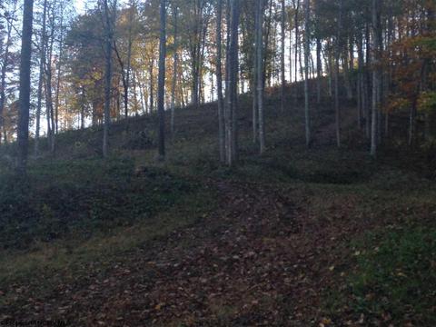 2218 Old Womans Run, Sutton, WV 26601 photo 18