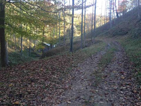 2218 Old Womans Run, Sutton, WV 26601 photo 17