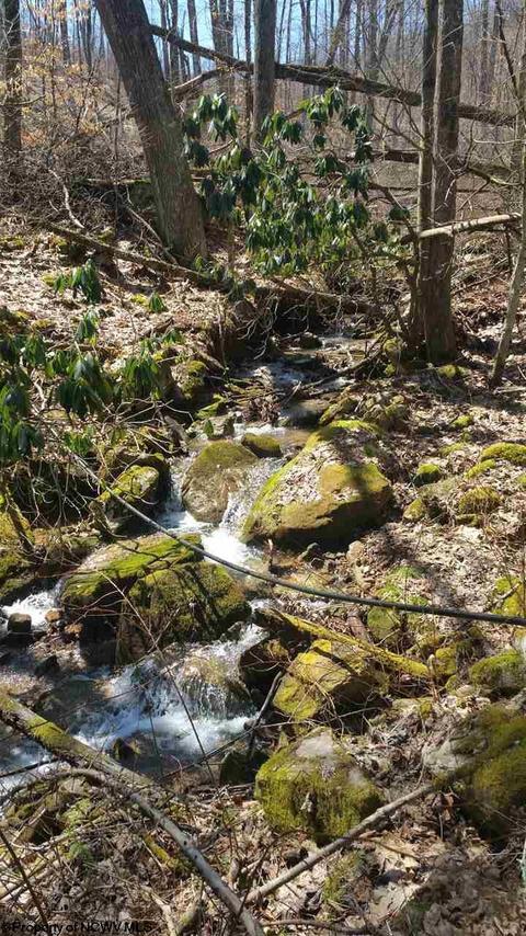 27 Currence Rd, Buckhannon, WV 26201 photo 8