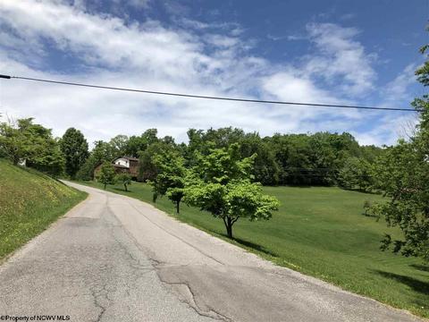 86 Mcgregor Dr, Sutton, WV 26601 photo 20