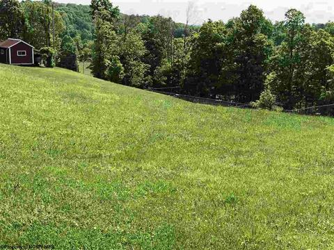 86 Mcgregor Dr, Sutton, WV 26601 photo 18
