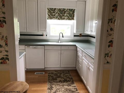 86 Mcgregor Dr, Sutton, WV 26601 photo 5
