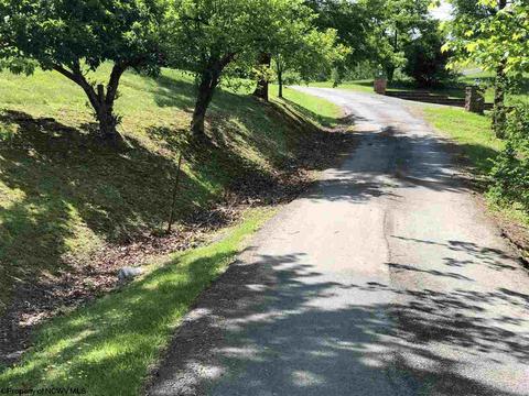 86 Mcgregor Dr, Sutton, WV 26601 photo 19