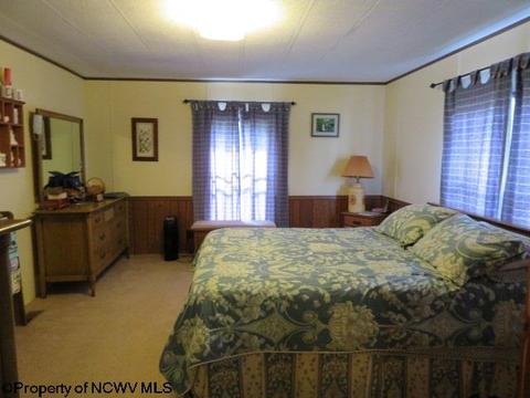 352 Centerville Rd, Rock Cave, WV 26234 photo 10