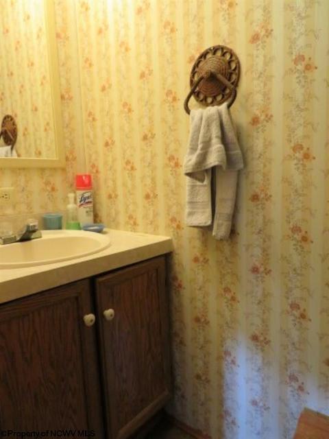 352 Centerville Rd, Rock Cave, WV 26234 photo 12