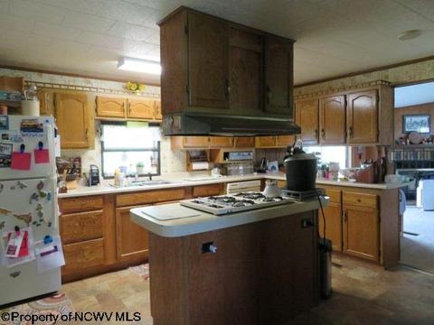 352 Centerville Rd, Rock Cave, WV 26234 photo 8