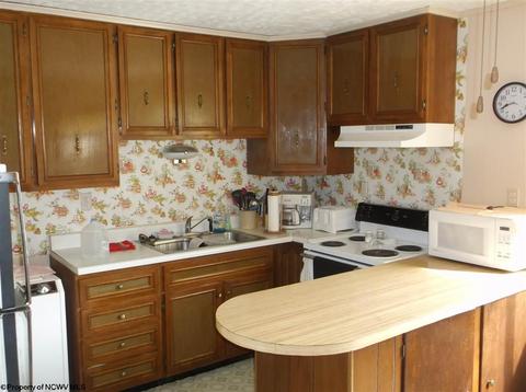 8747 Bug Ridge Rd, Sutton, WV 26601 photo 9