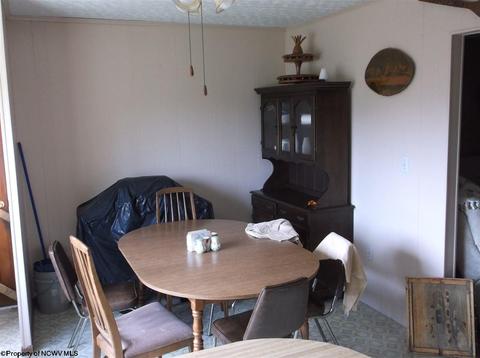 8747 Bug Ridge Rd, Sutton, WV 26601 photo 10