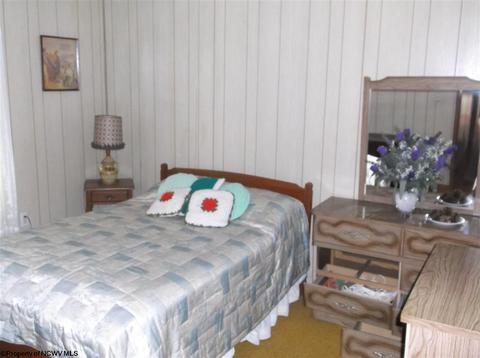 8747 Bug Ridge Rd, Sutton, WV 26601 photo 6