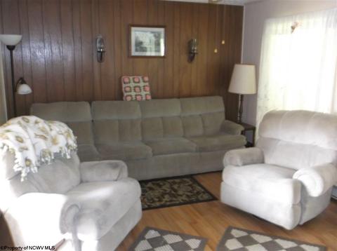 8747 Bug Ridge Rd, Sutton, WV 26601 photo 4