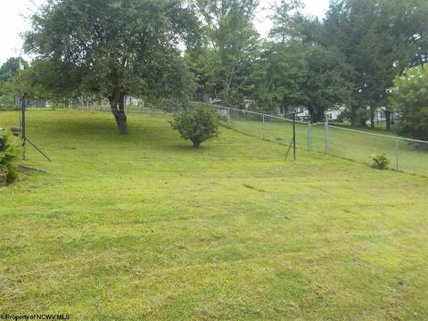 320 Long St, Parsons, WV 26287 photo 20