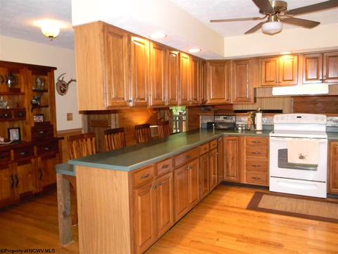 309 Three Fork Rd, Independence, WV 26374 photo 4