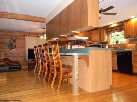 309 Three Fork Rd, Independence, WV 26374 photo 5
