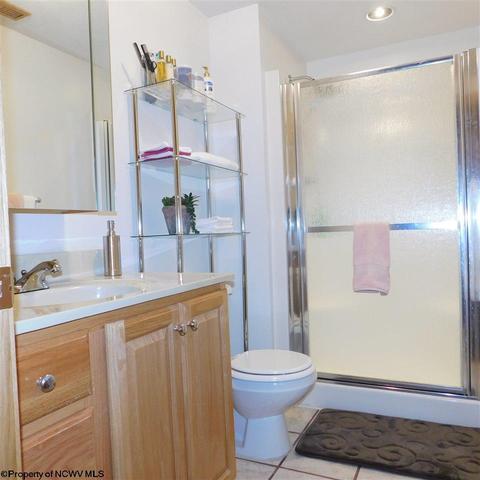 93 Oak Ridge Dr, Mount Clare, WV 26408 photo 15