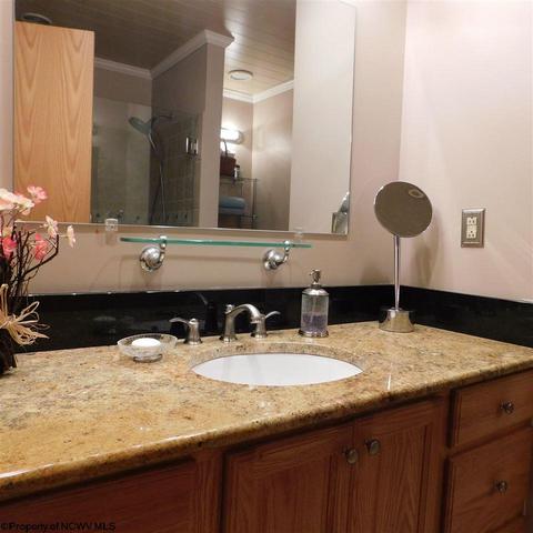 93 Oak Ridge Dr, Mount Clare, WV 26408 photo 8