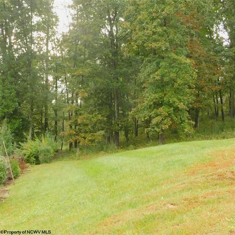 93 Oak Ridge Dr, Mount Clare, WV 26408 photo 20