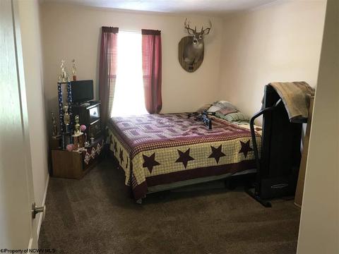 6909 Back Rd, Beverly, WV 26253 photo 13