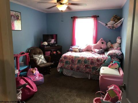 6909 Back Rd, Beverly, WV 26253 photo 16