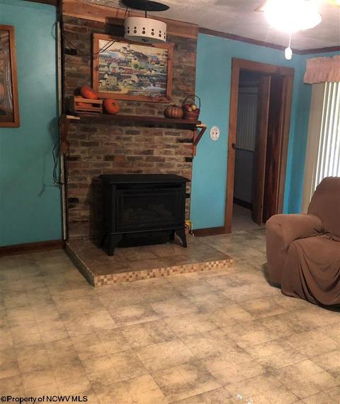 213 S 1st St, Sutton, WV 26601 photo 8