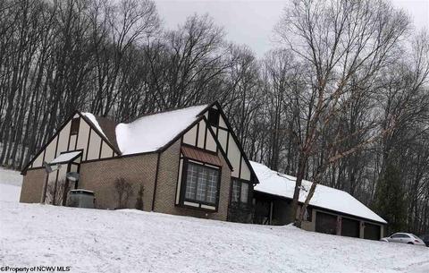 1505 Daybrook Rd, Fairview, WV 26570 photo 1