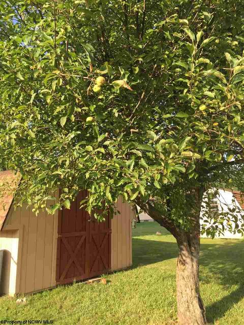 60 Circle Dr, Beverly, WV 26253 photo 8